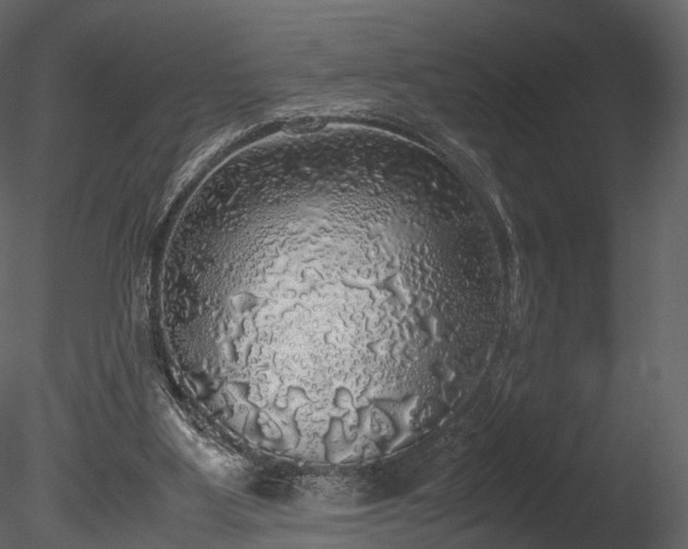 X0000085250107200703161303