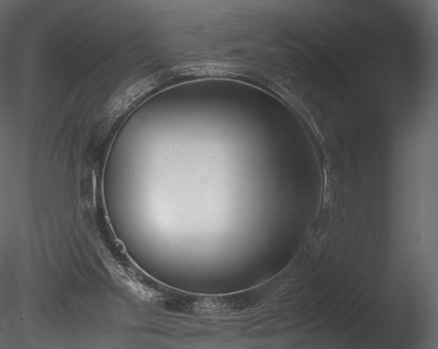 X0000085250109200703161303