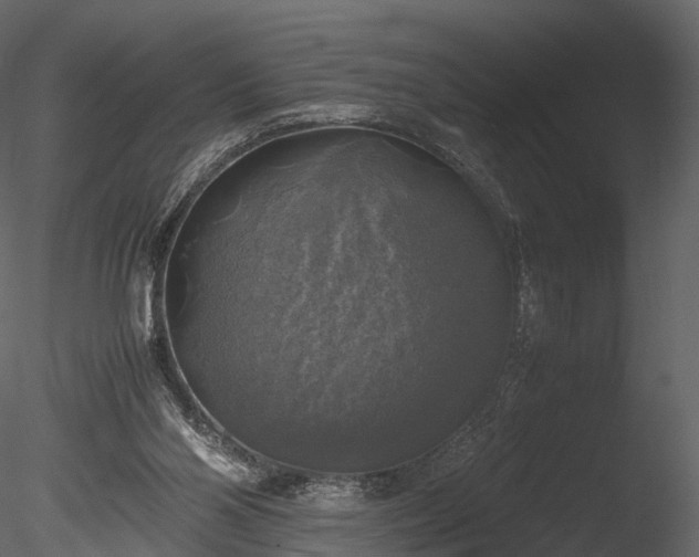 X0000085250110200703161303