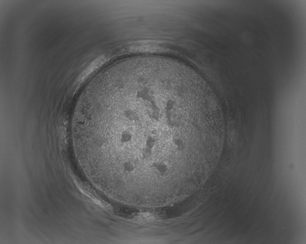 X0000085250111200703161303