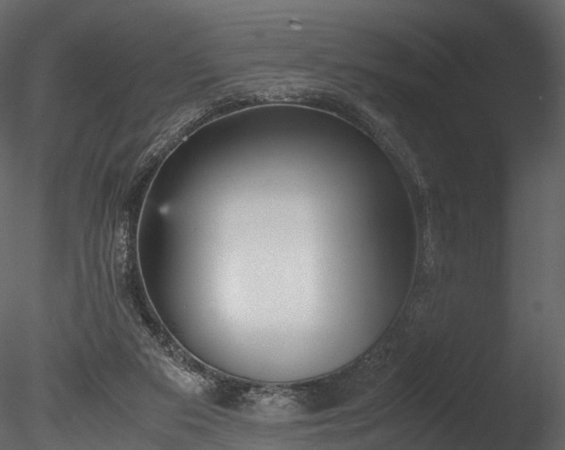 X0000085250113200703161303