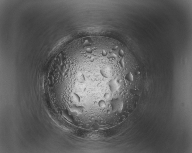 X0000085250115200703161303