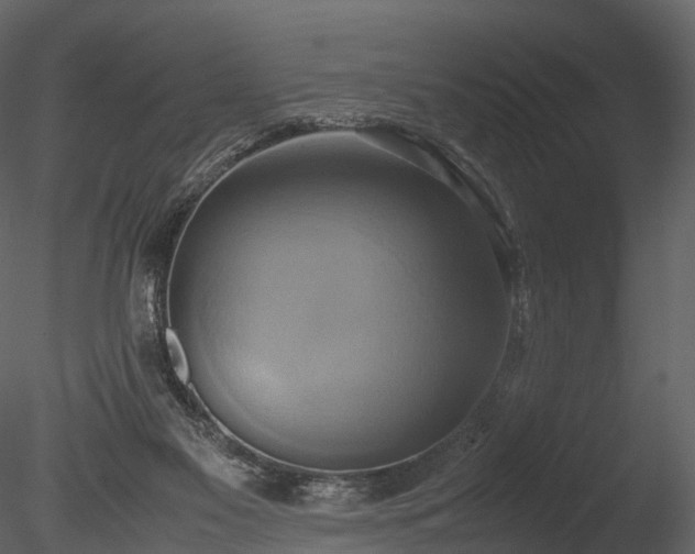 X0000085250117200703161303