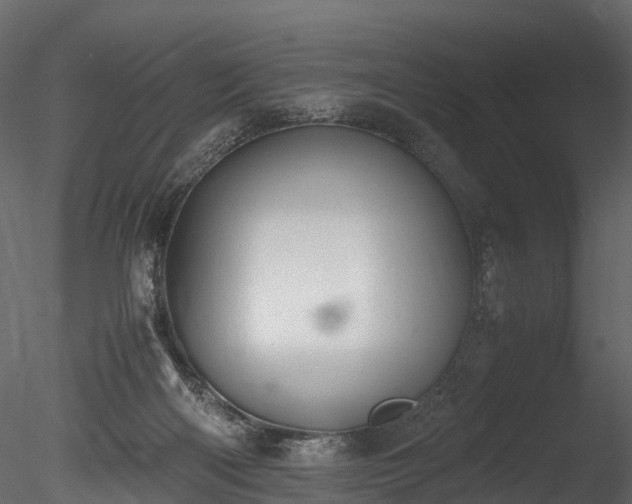 X0000085250122200703161302