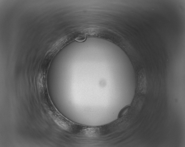 X0000085250126200703161302