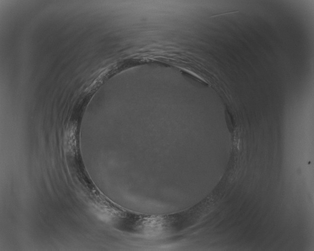 X0000085250127200703161302