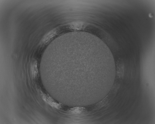 X0000085250128200703161302