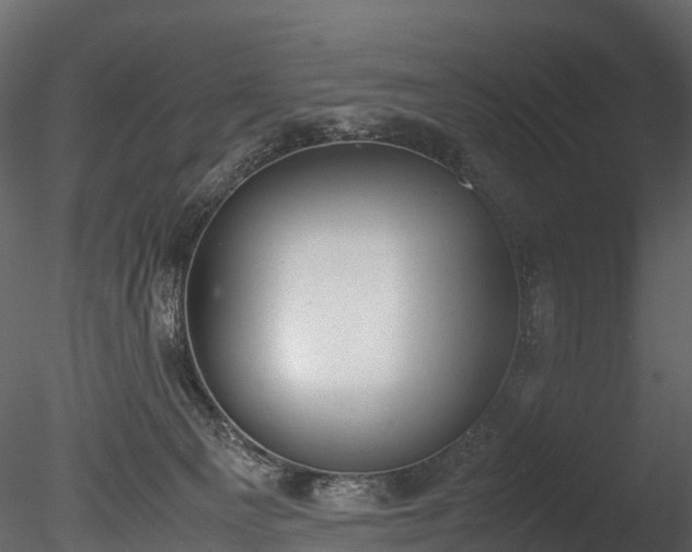 X0000085250129200703161302