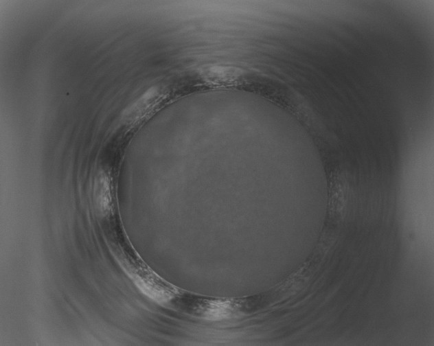 X0000085250130200703161302