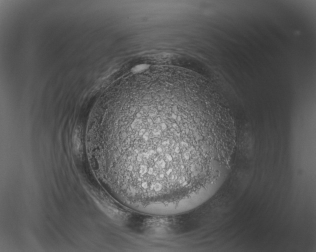 X0000085250131200703161302