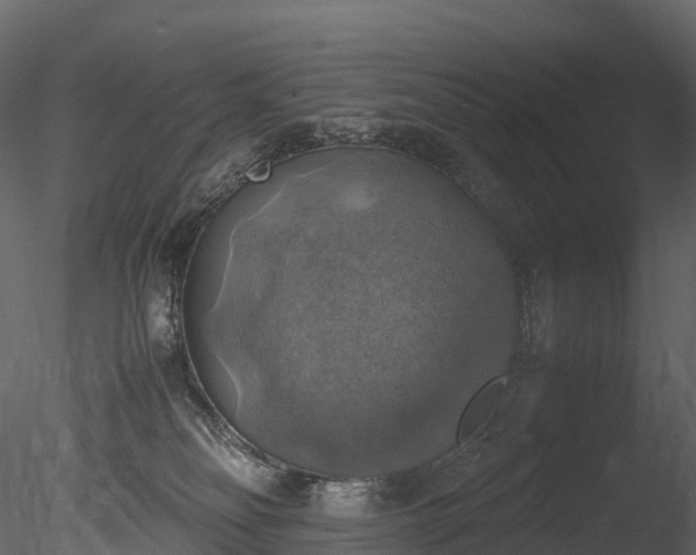 X0000085250134200703161302