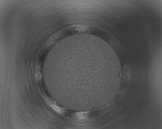 X0000085250136200703161302