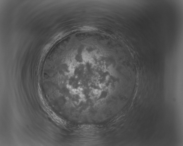 X0000085250145200703161301