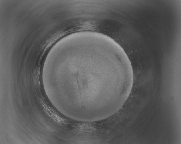 X0000085250146200703161301