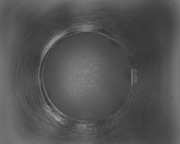 X0000085250147200703161301