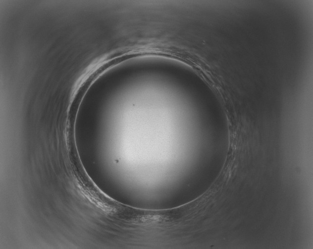 X0000085250152200703161301