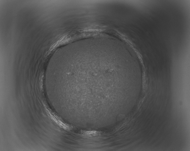 X0000085250153200703161301