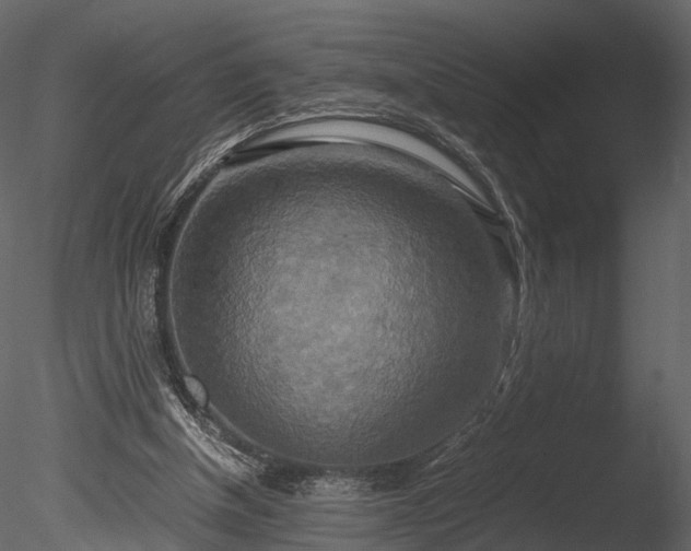 X0000085250154200703161301