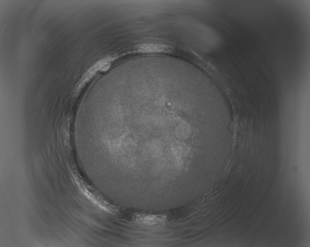 X0000085250155200703161301