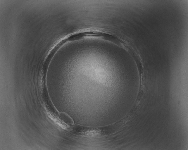 X0000085250156200703161301