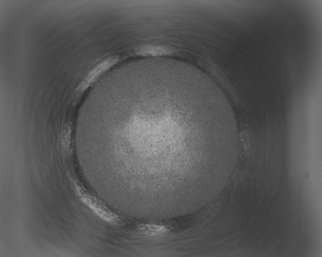 X0000085250159200703161301