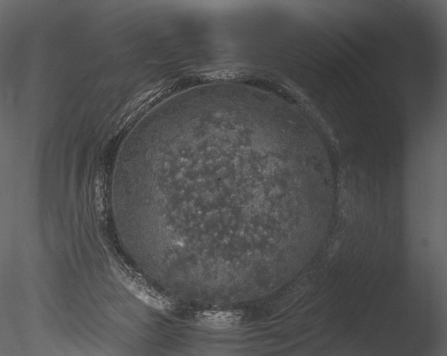 X0000085250161200703161301