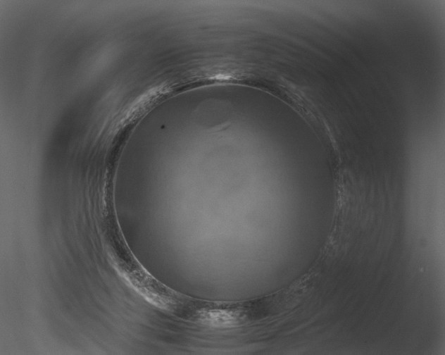 X0000085250163200703161302