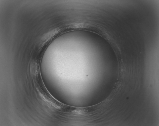 X0000085250164200703161302