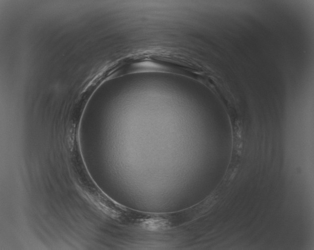 X0000085250168200703161302