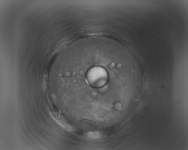 X0000085250171200703161302