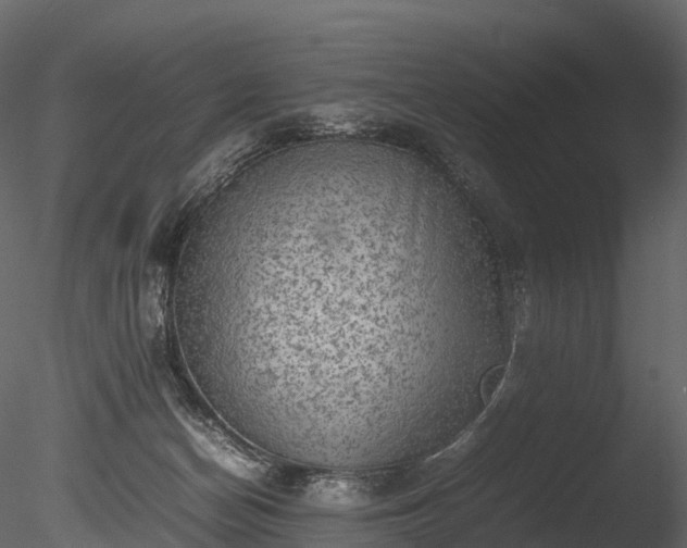 X0000085250174200703161302