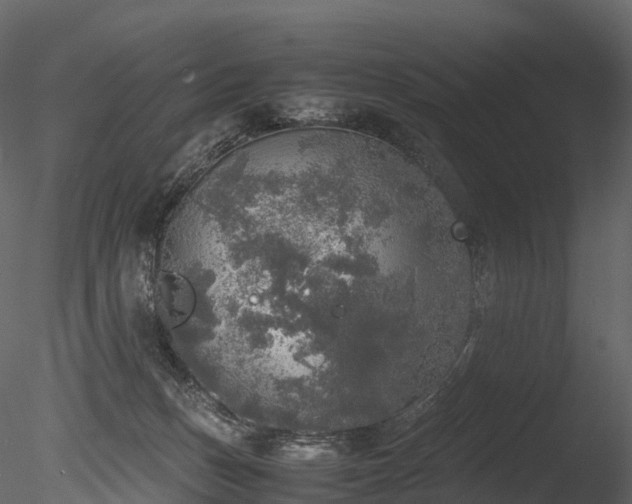 X0000085250175200703161302