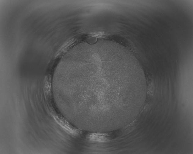 X0000085250179200703161302