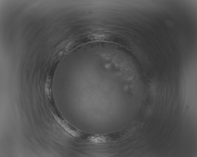 X0000085250181200703161302