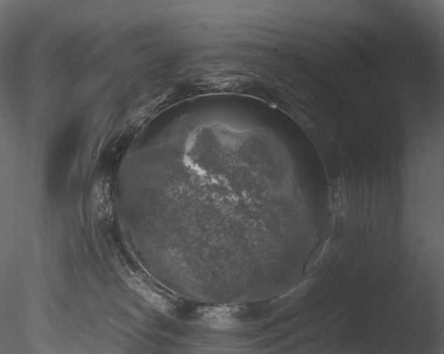 X0000085250182200703161302