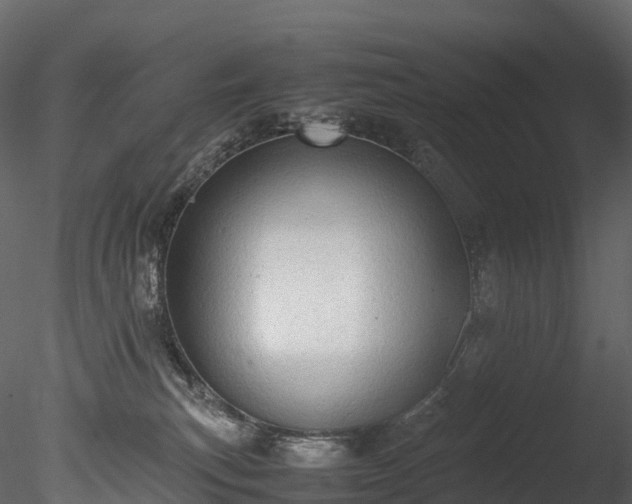 X0000085250183200703161302