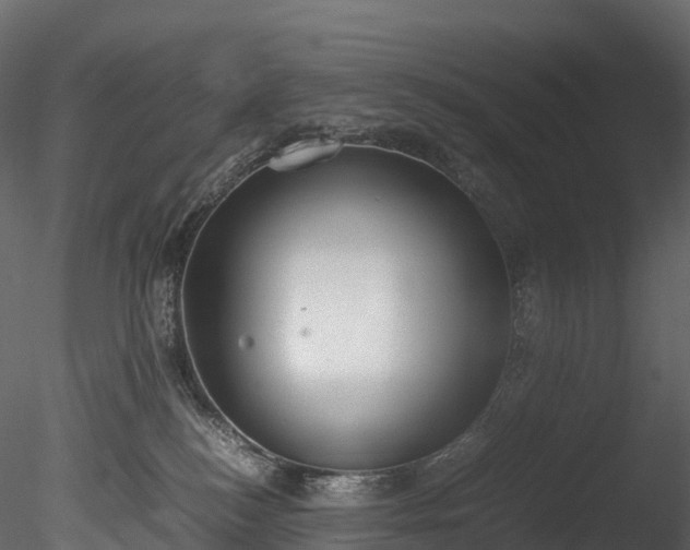 X0000085250184200703161302