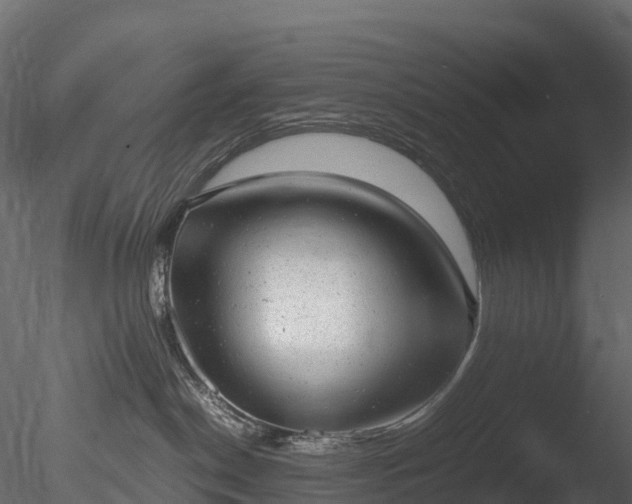 X0000085250190200703161302