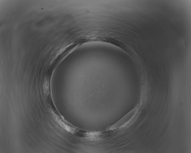 X0000085250192200703161302