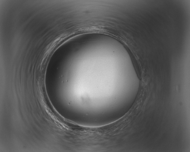 X0000085250193200703161301