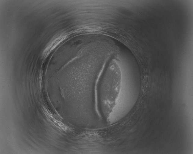 X0000085250194200703161301