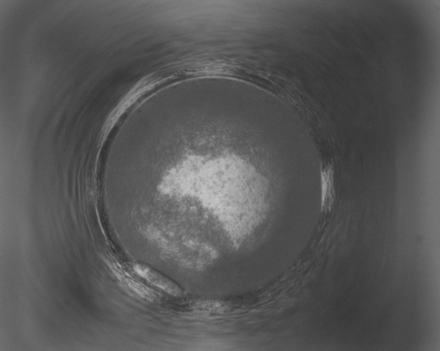 X0000085250195200703161301