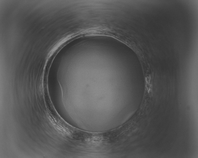 X0000085250196200703161301