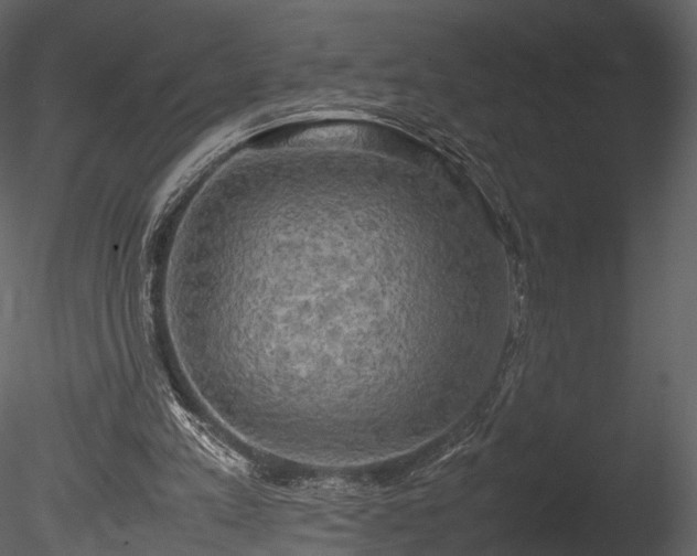 X0000085250197200703161301