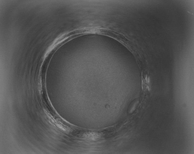 X0000085250198200703161301