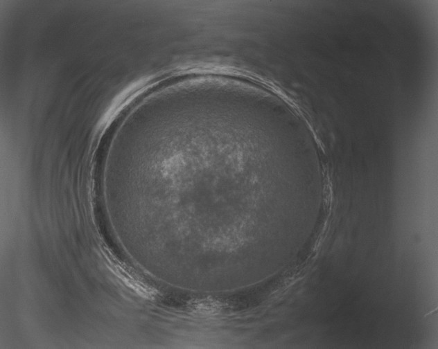 X0000085250199200703161301