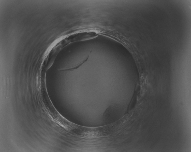 X0000085250200200703161301