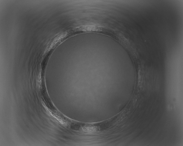 X0000085250202200703161301