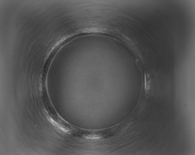 X0000085250204200703161301