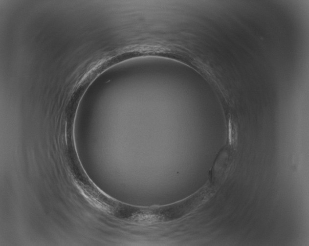 X0000085250205200703161301